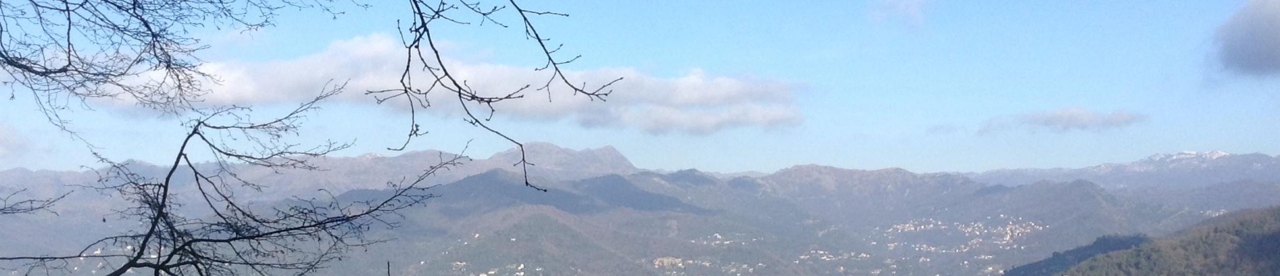 Parco di Portofino