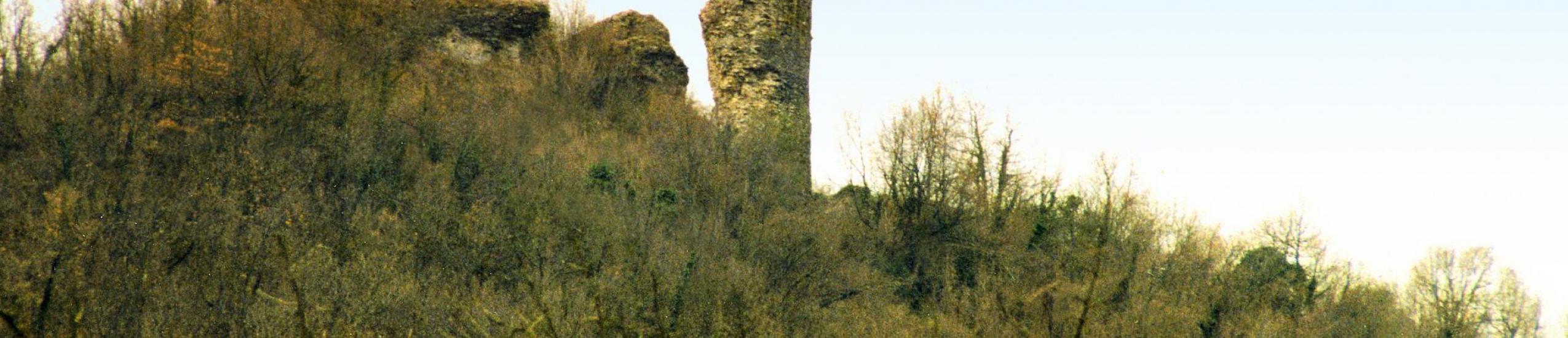 ruderi di castello dei fieschi di Montoggio