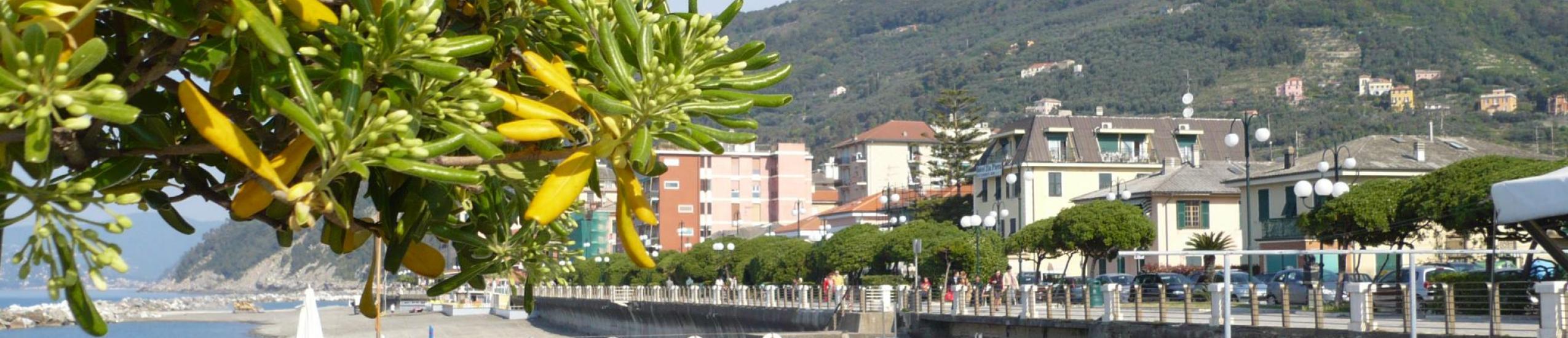 Lungomare di Chiavari