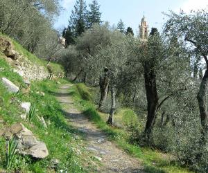 torre medievale e sentiero "delle cinque torri" (1)