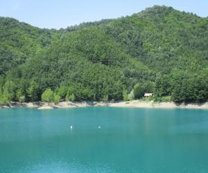 lago del brugneto - sentiero lungolago (8)