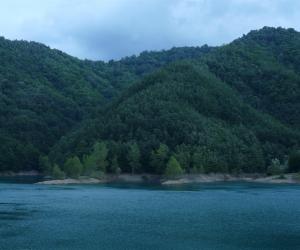 lago del brugneto - sentiero lungolago (1)